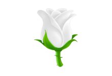 Beyaz Gül Emojisi