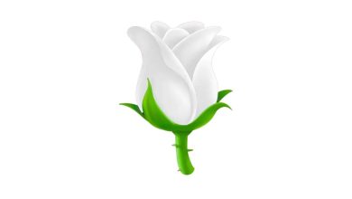 Beyaz Gül Emojisi