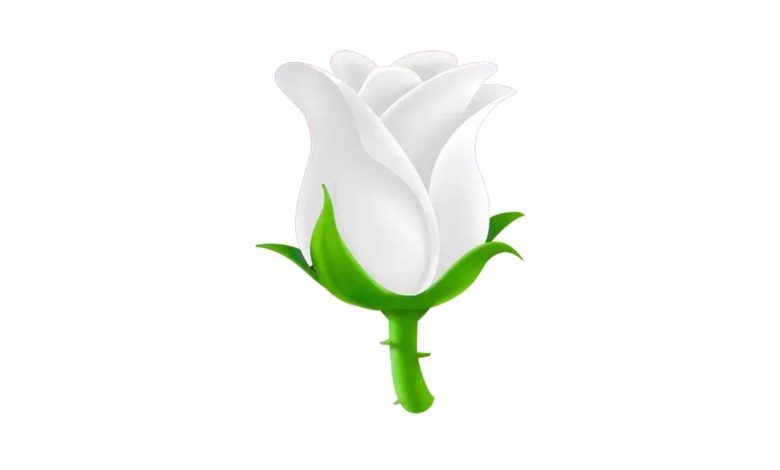 Beyaz Gül Emojisi