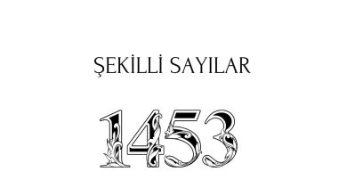 Şekilli Sayı Yazma