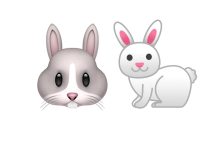 Tavşan Emojisi Kopyala