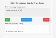 Ters Sayı ve Yazı Yazma