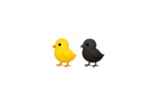 Civciv Emojisi Kopyala