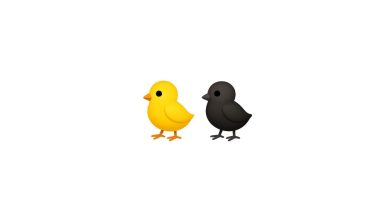 Civciv Emojisi Kopyala