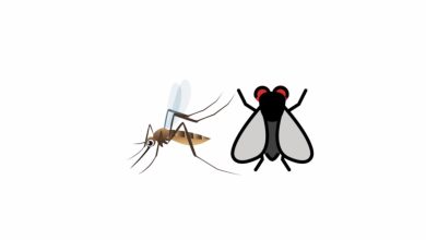 Sivrisinek Emojisi Kopyala
