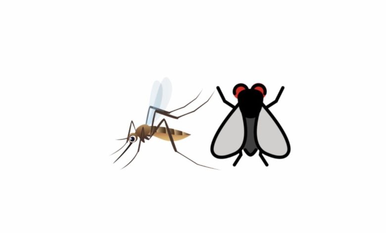 Sivrisinek Emojisi Kopyala