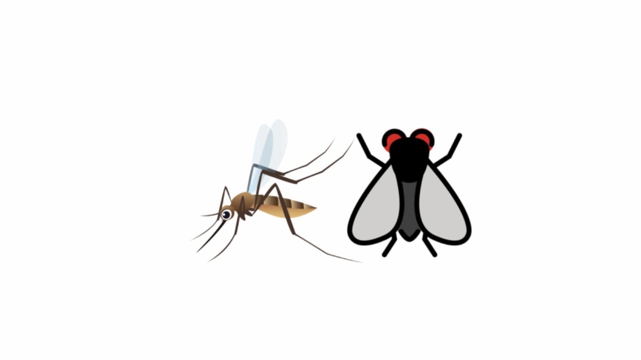 Sivrisinek Emojisi Kopyala