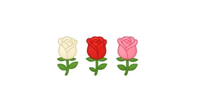 gül emojileri kopyala